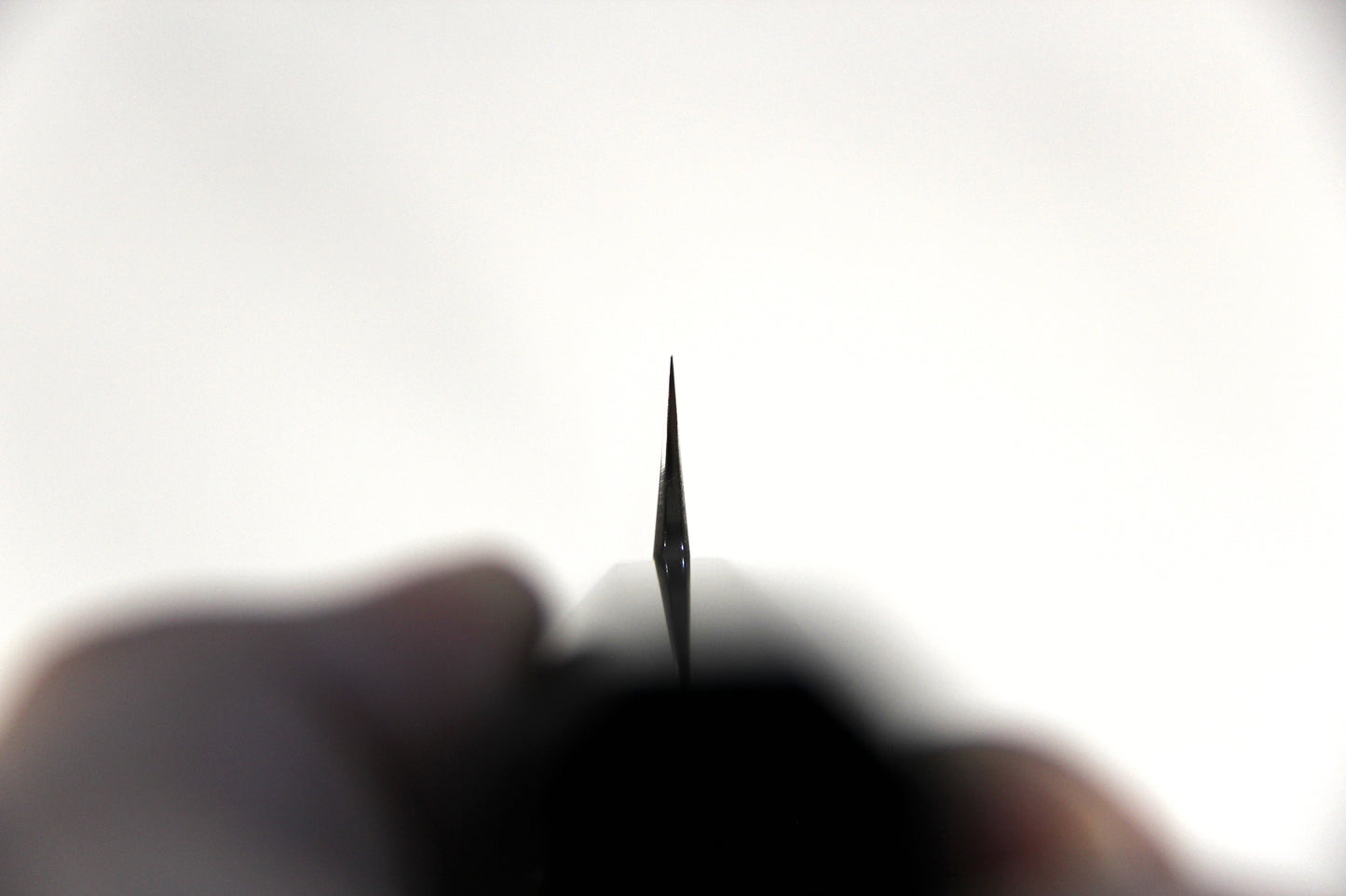 Sakai Takayuki/Michiko Kubota Shirogami #1 (白一鋼) Sakimaru Takohiki, Sakura, 300 mm