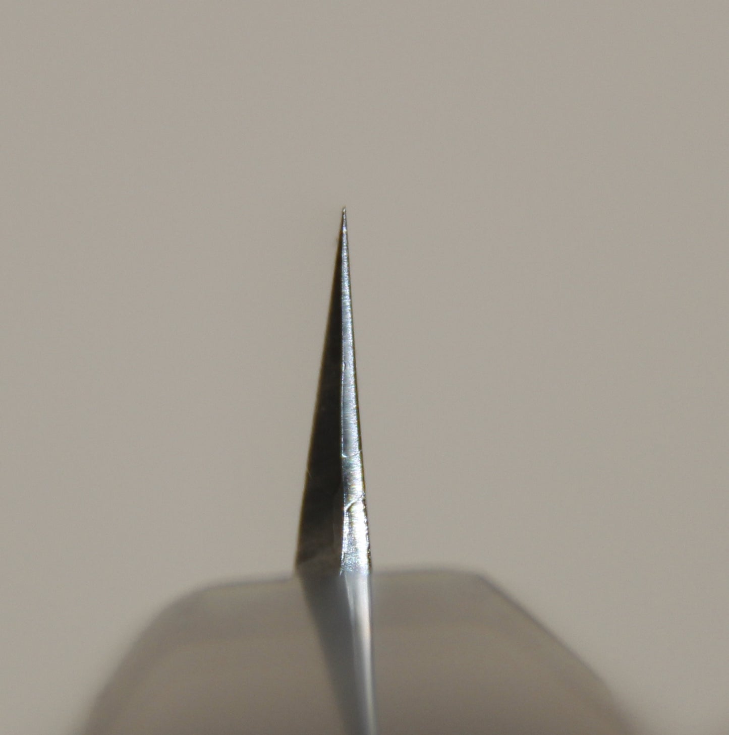 Sakimaru Takohiki, Aogami #2 (青ニ鋼) 300 mm, Ringed Gidgee Handle
