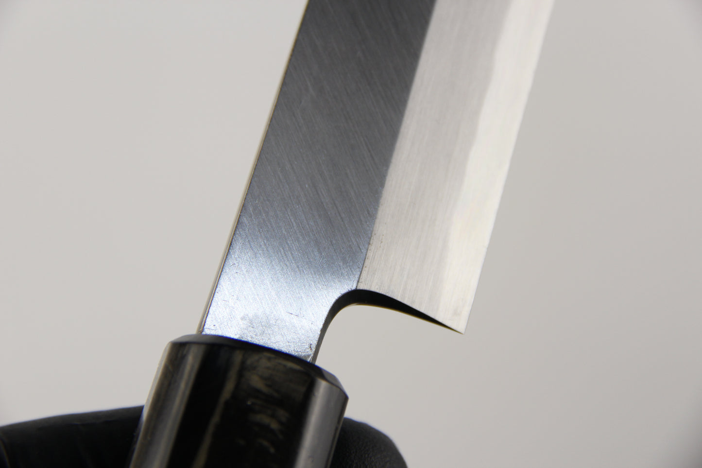 Sakimaru Takohiki, Aogami #2 (青ニ鋼) 300 mm, Ringed Gidgee Handle